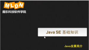 Java8系列教程：Java8编程入门、面向对象编程、高级编程、核心设计模式 —— DAO设计模式