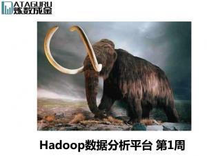 Hadoop数据分析平台（第四版） 视频教程