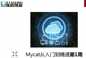 Mycat从入门到精通 视频教程