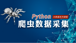 【优品课堂】Python 网络爬虫数据采集 视频课程
