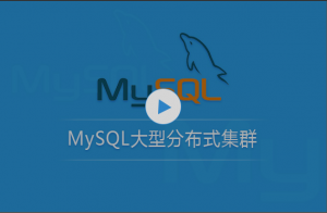 MySQL大型分布式集群 视频课程