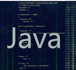 Java语言程序设计进阶
